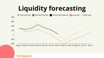 Liquidity forecast